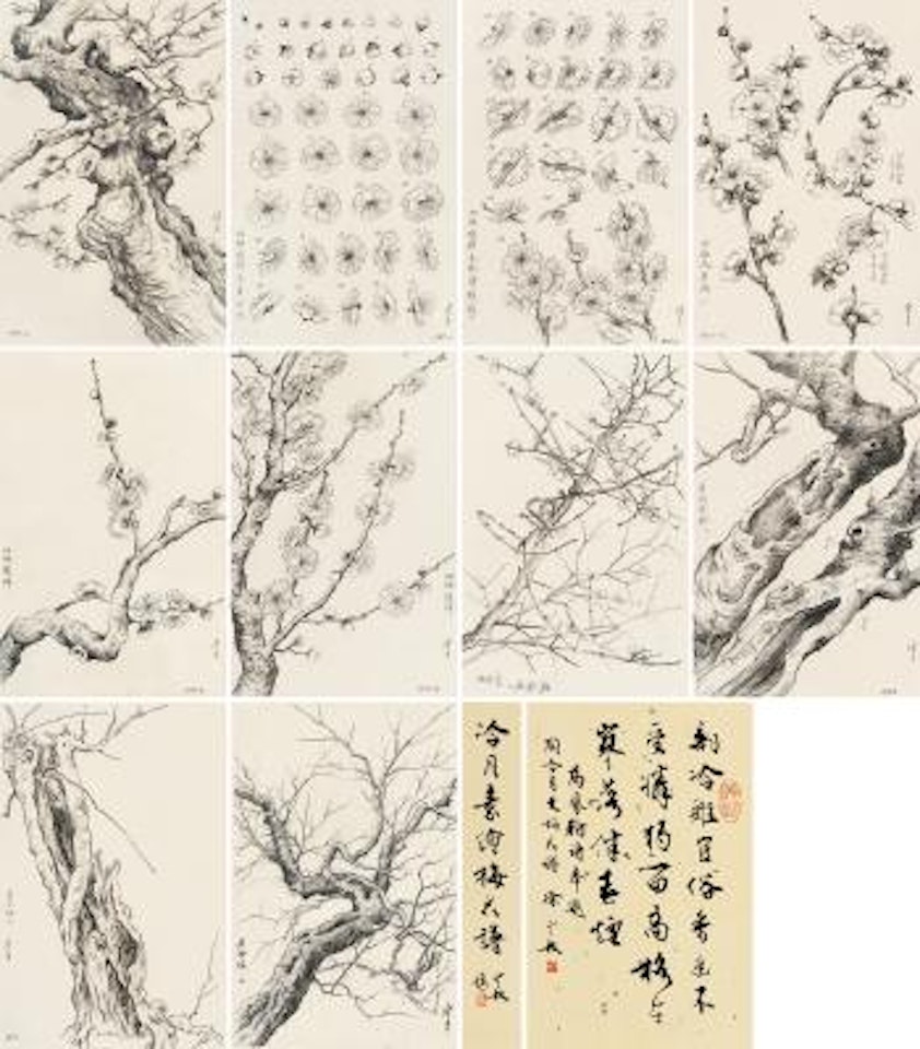 Sketches Of Plums by Lengyue Tao