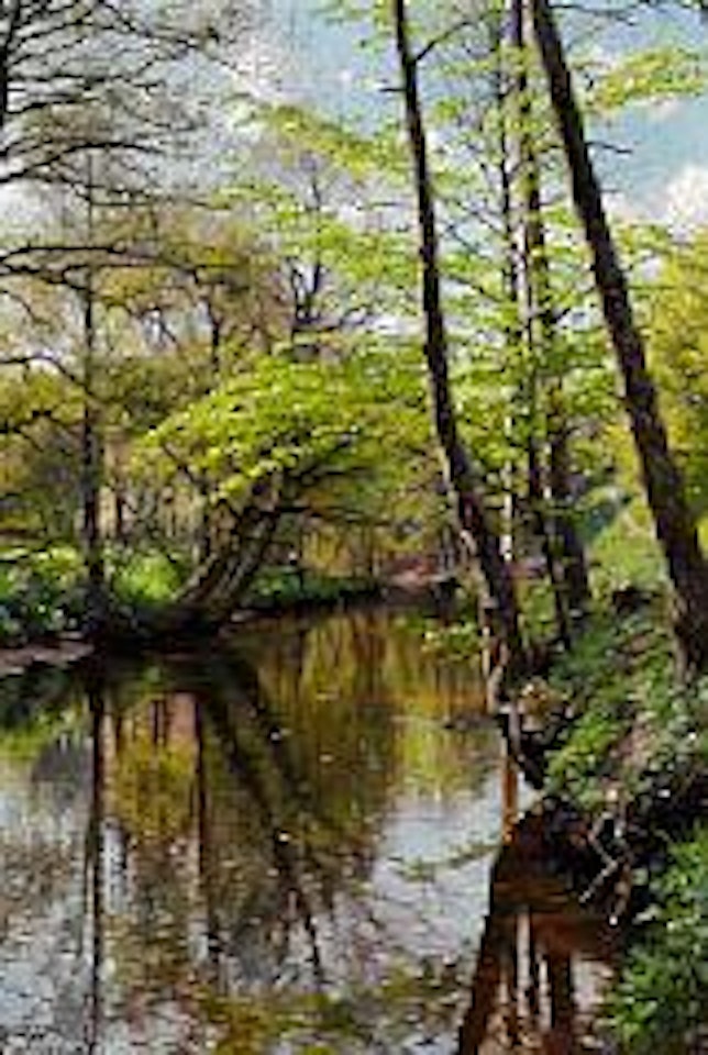 Spring day in the woods by Peder Mork Monsted