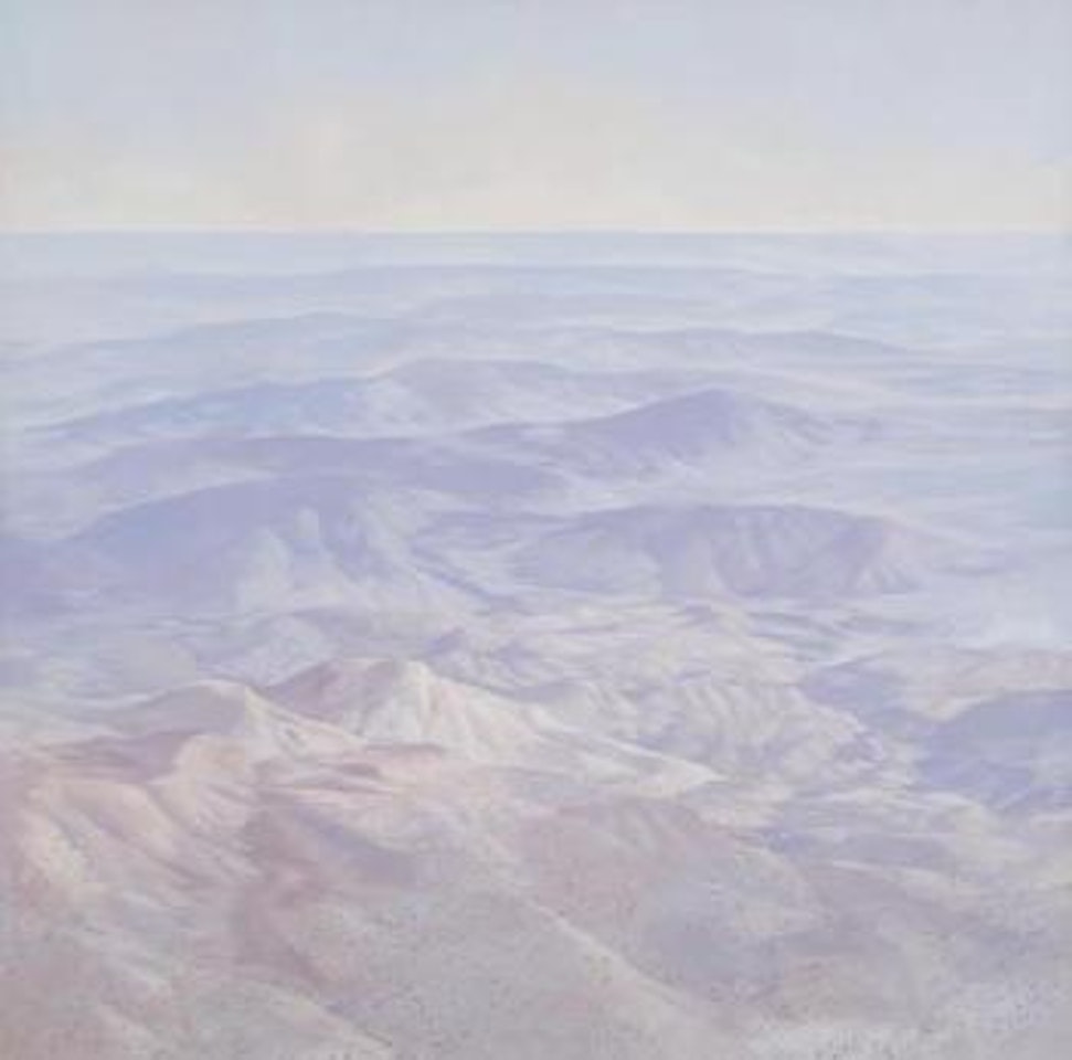 Altitude Landscape by Tim Storrier