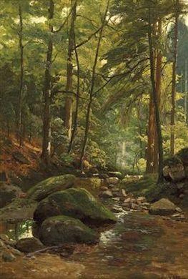 Sonnendurchflutetes Waldinneres im Sommer. Sonnendurchflutetes Waldinneres im Herbst by Alfred Olsen