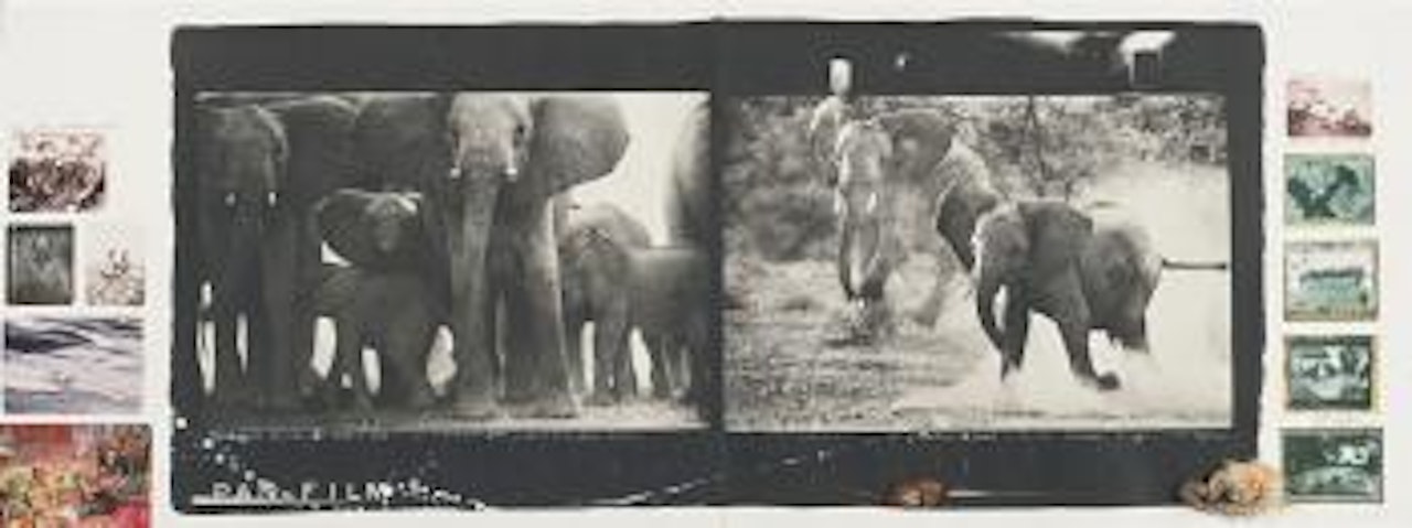 Buffalo Springs Cow Elephant Herd--For The End Of The Game, Last Word From Paradise by Peter Beard
