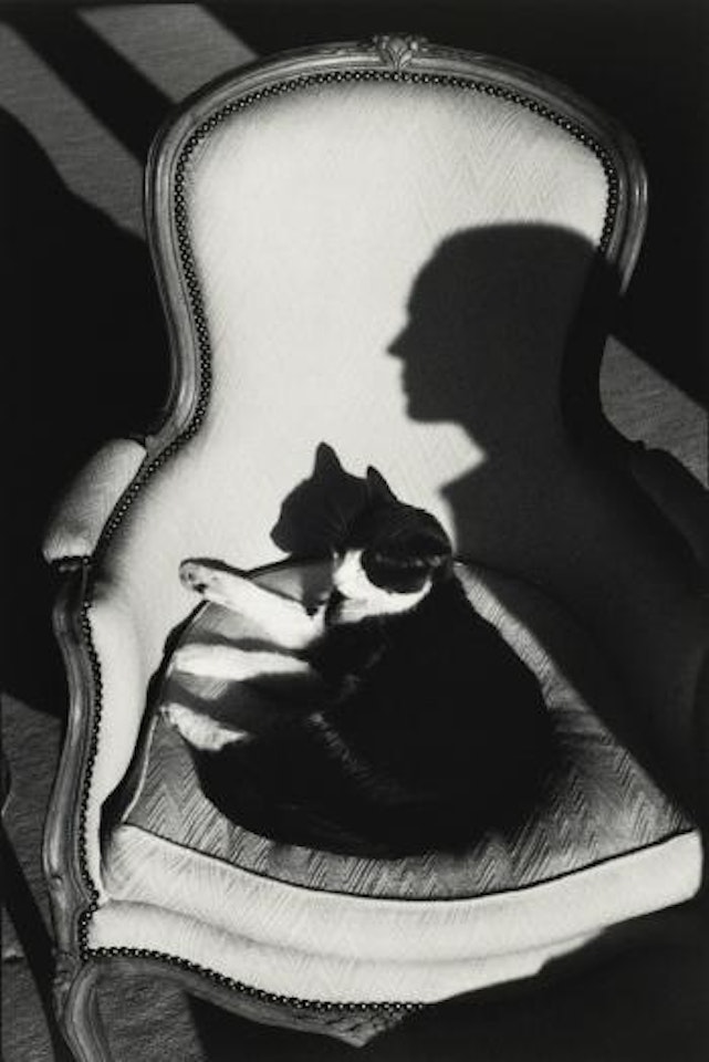 Our Cat Ulysses And Martine's Shadow by Henri Cartier-Bresson