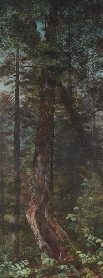 Pine trees, Minerva by Worthington Whittredge