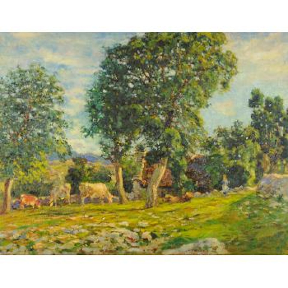 Pascolo in Carso by Ugo Flumiani