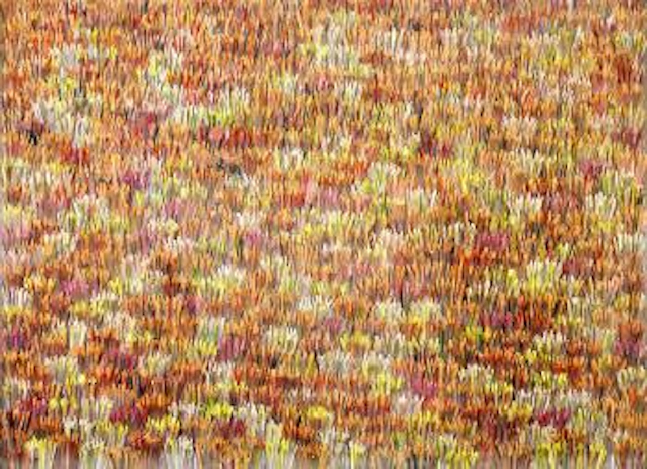 Champs 6 by Pavlos Dionyssopoulos