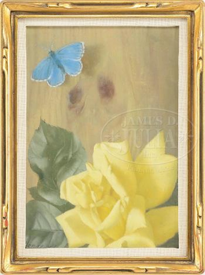 Rose and butterfly by Patrick Hennessey