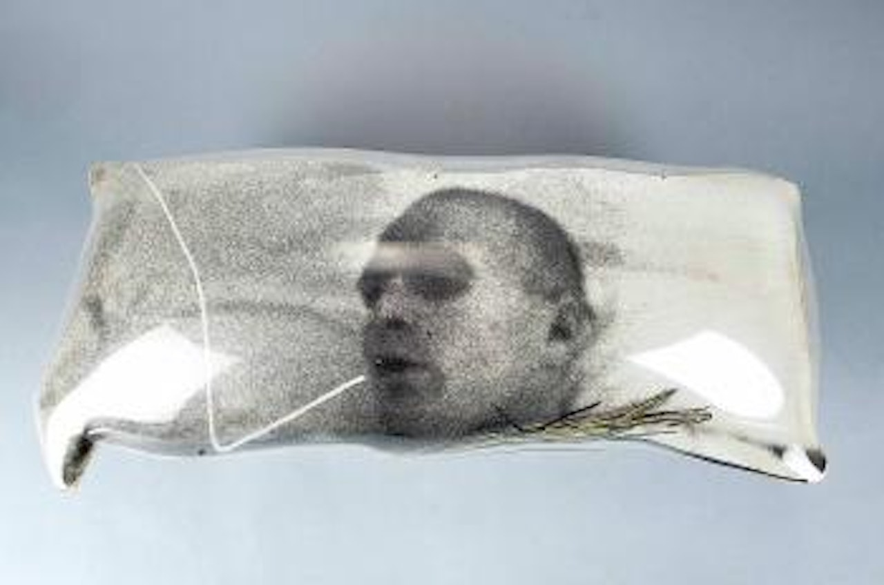 Almohada II (encapsulados) by Darío Villalba