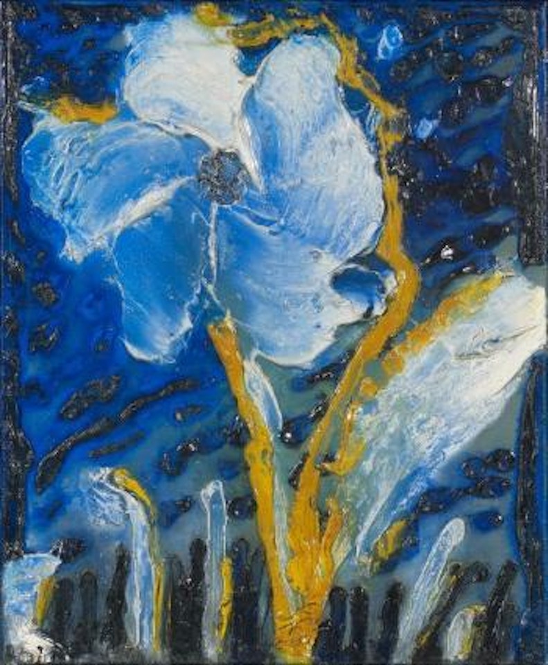 Fleur blanche sur fond bleu by Thanos Tsingos
