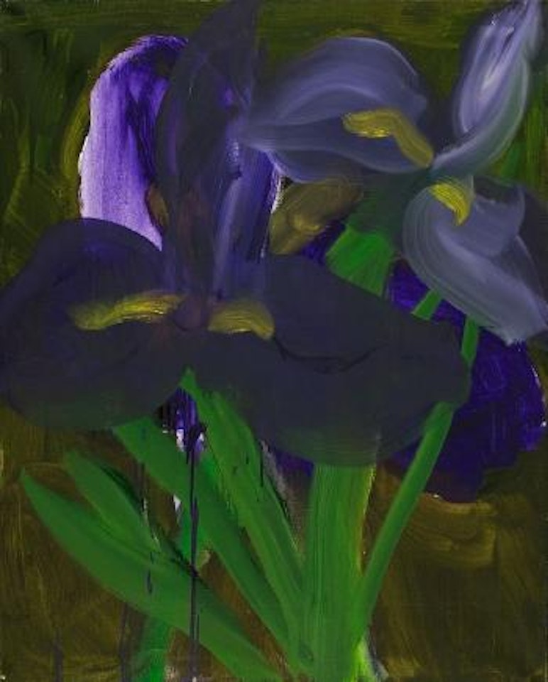 Iris by Rainer Fetting