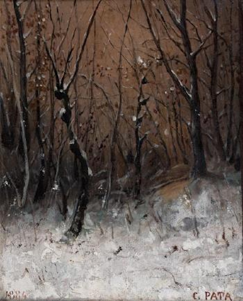 Sous-bois enneigé by Cherubino Pata