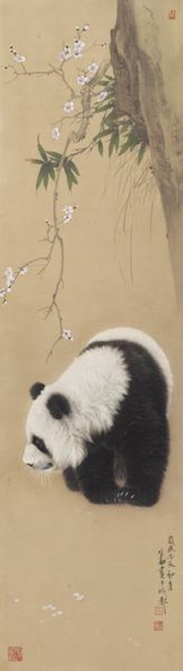 Panda by Wang Shenyong