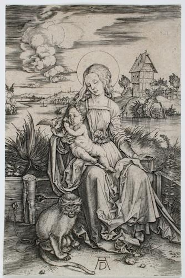 Maria mit der Meerkatze by Albrecht Dürer