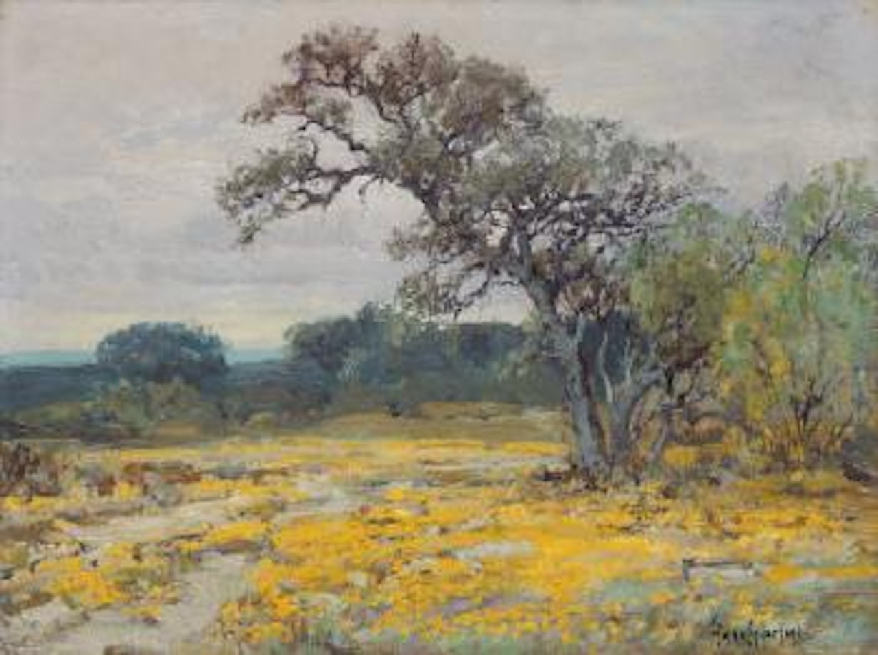 Coreopsis, Near San Antonio, Texas by Julian Onderdonk