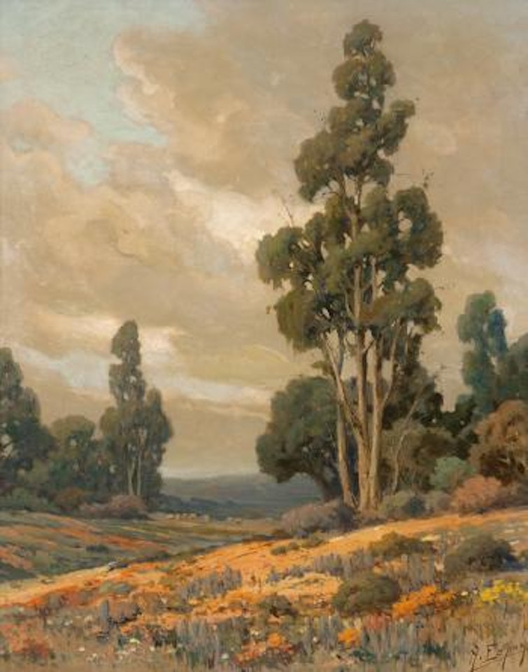 Poppies on the Hillside, So Calif by Angel Espoy