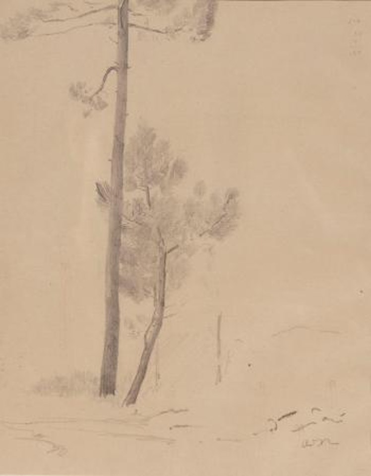 Les pins by Odilon Redon