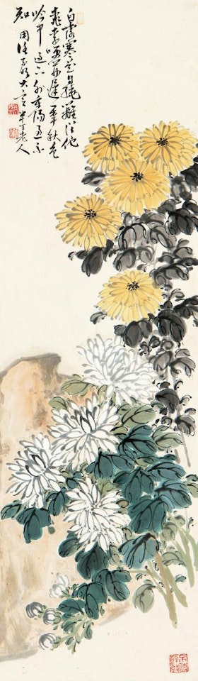 Chrysanthemum by Chen Banding