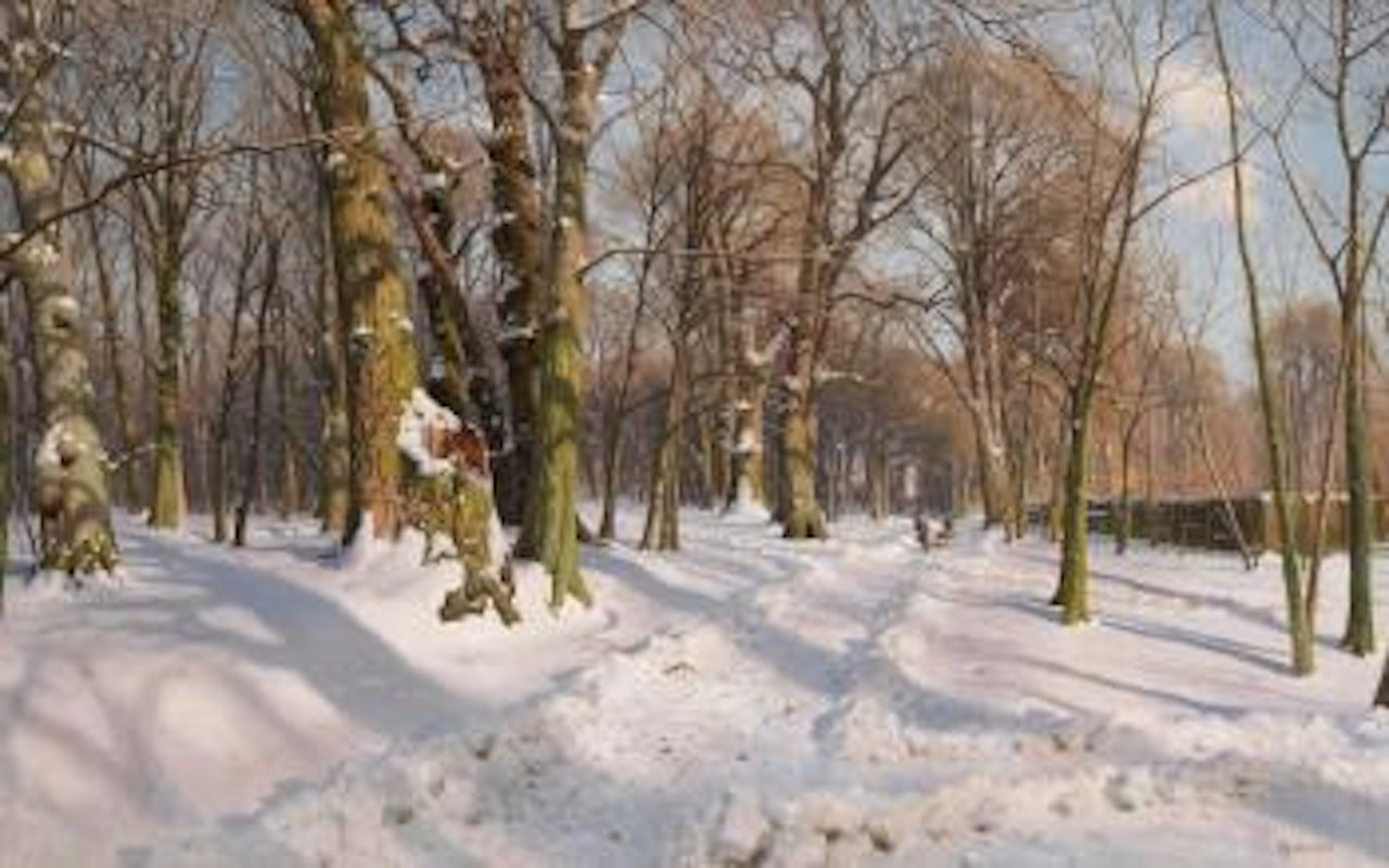 Verschneiter Waldweg bei Sonnenlicht by Peder Mork Monsted