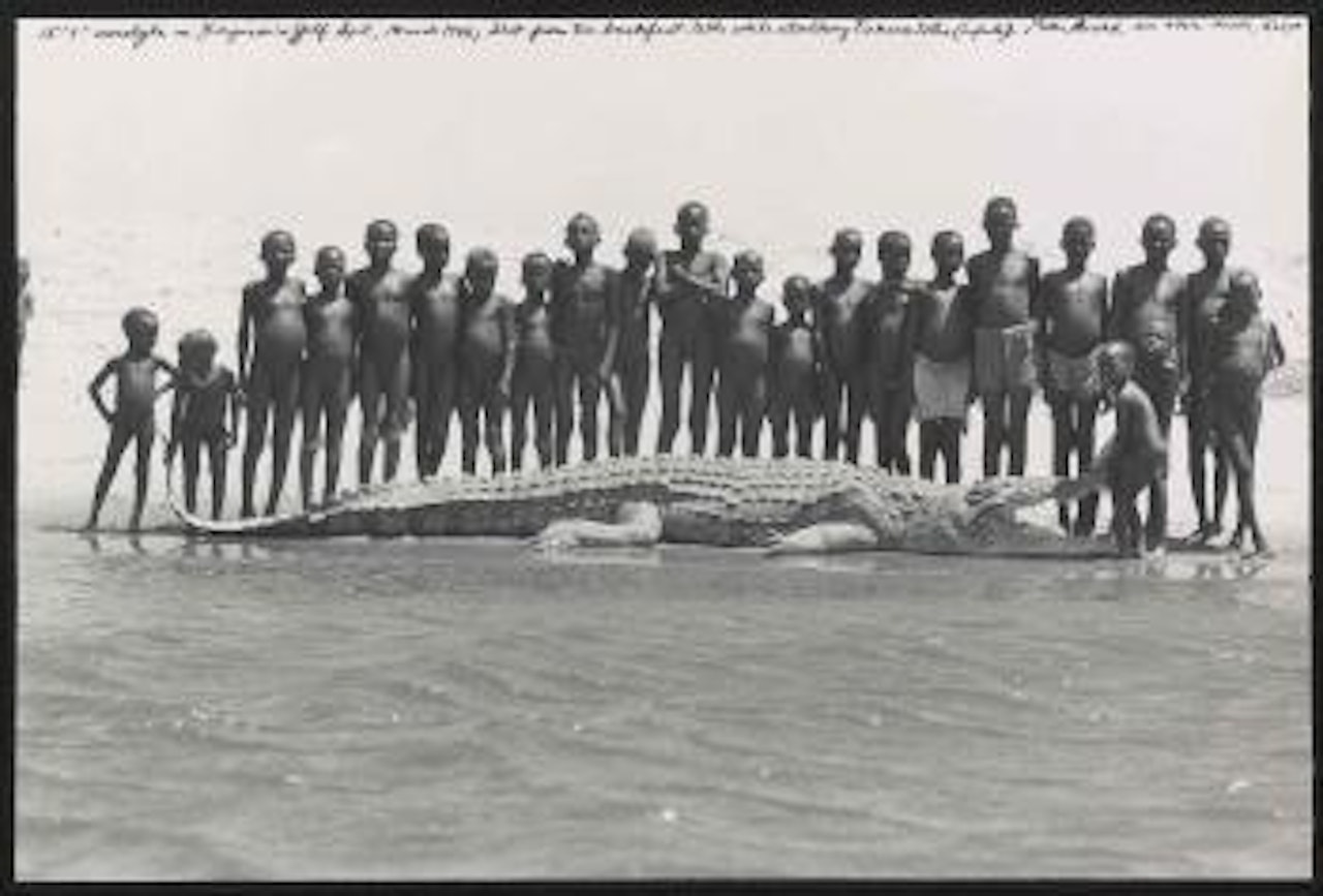 15'9" crocodile on Ferguson's Gulf Spit; shot from the breakfast table while stalking Turkana totos (enfants), Nairobi, Kenya, March 1968 by Peter Beard