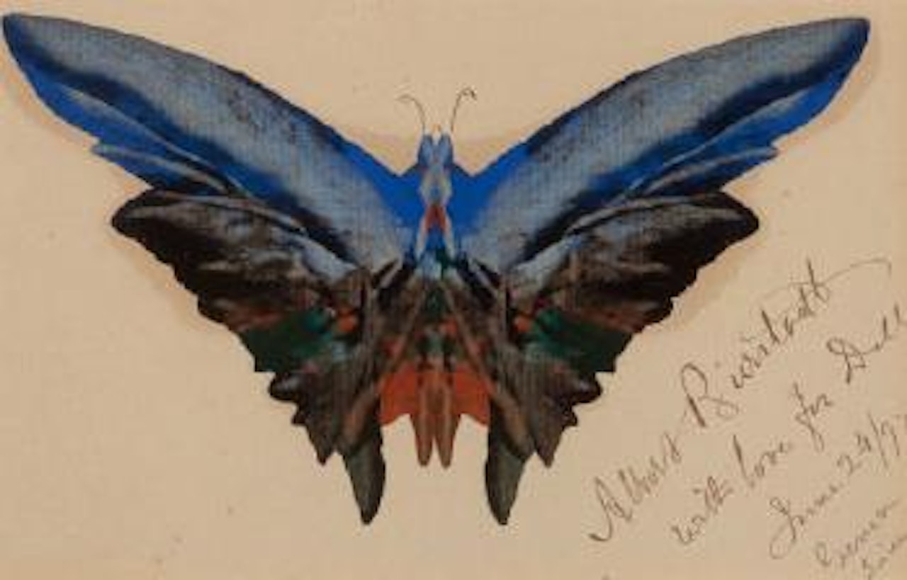Butterfly, For Dell by Albert Bierstadt