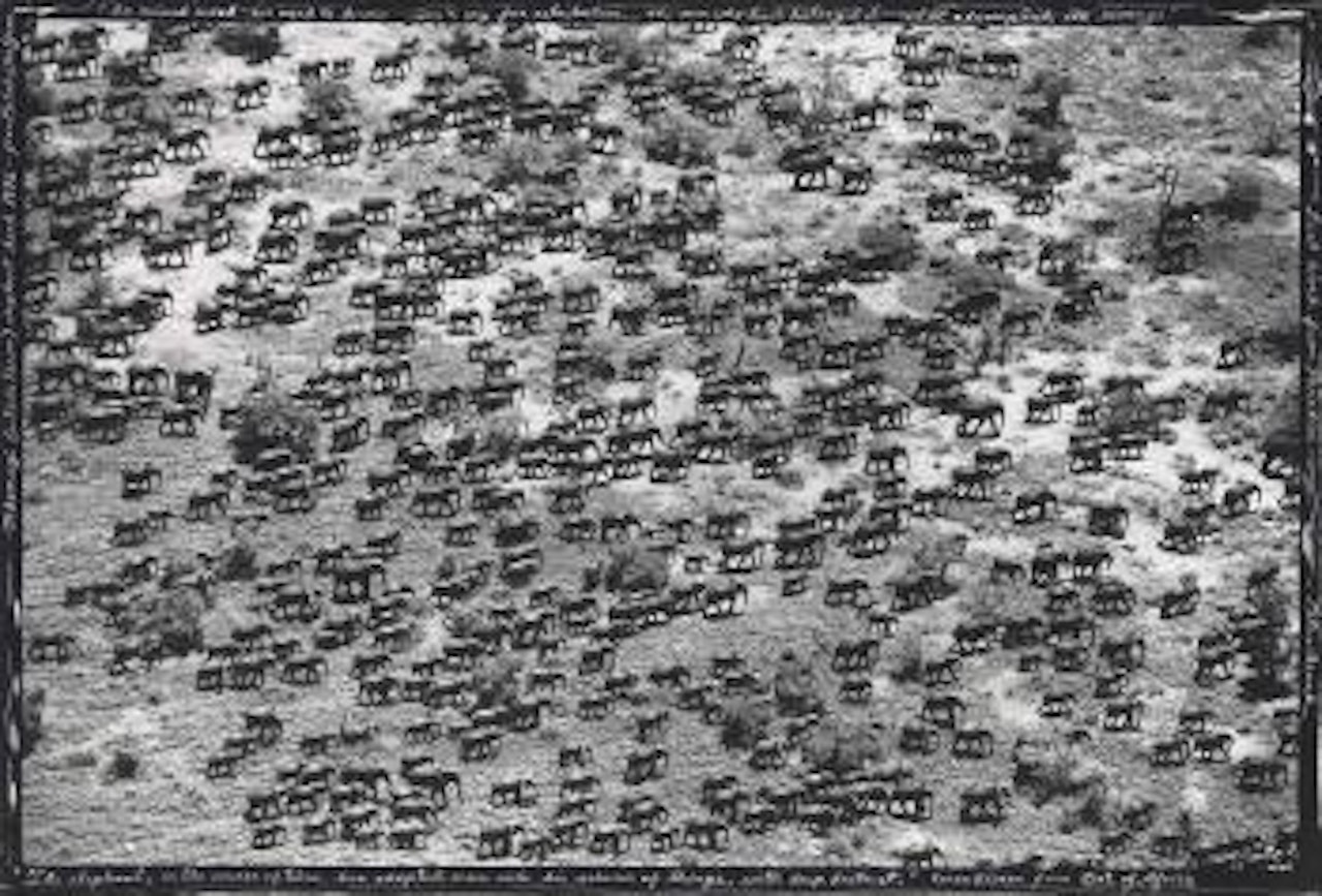 Mkomazi (outside Tsavo) elephant herd, from the End of the Game by Peter Beard