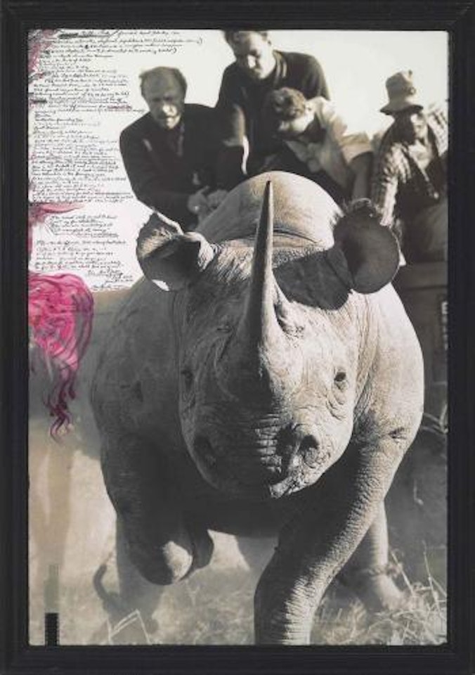 Tsavo National Park, founded April Fool's Day 1948 by Peter Beard
