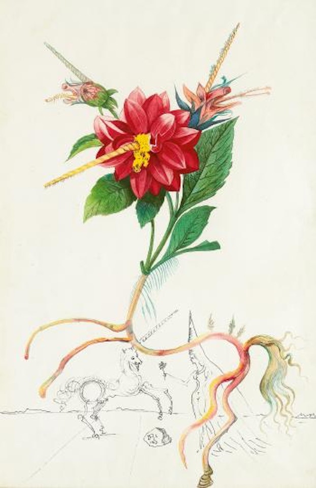 Dahlia Unicornis by Salvador Dali