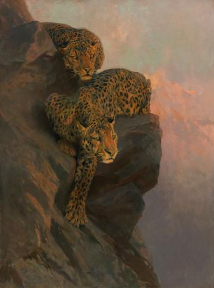 Leopards On The Lookout by Arthur Wardle