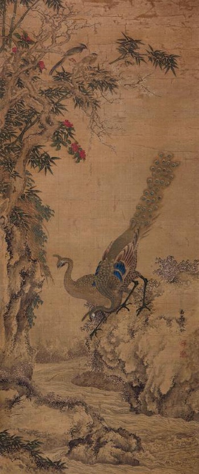 Peacock by Shen Quan