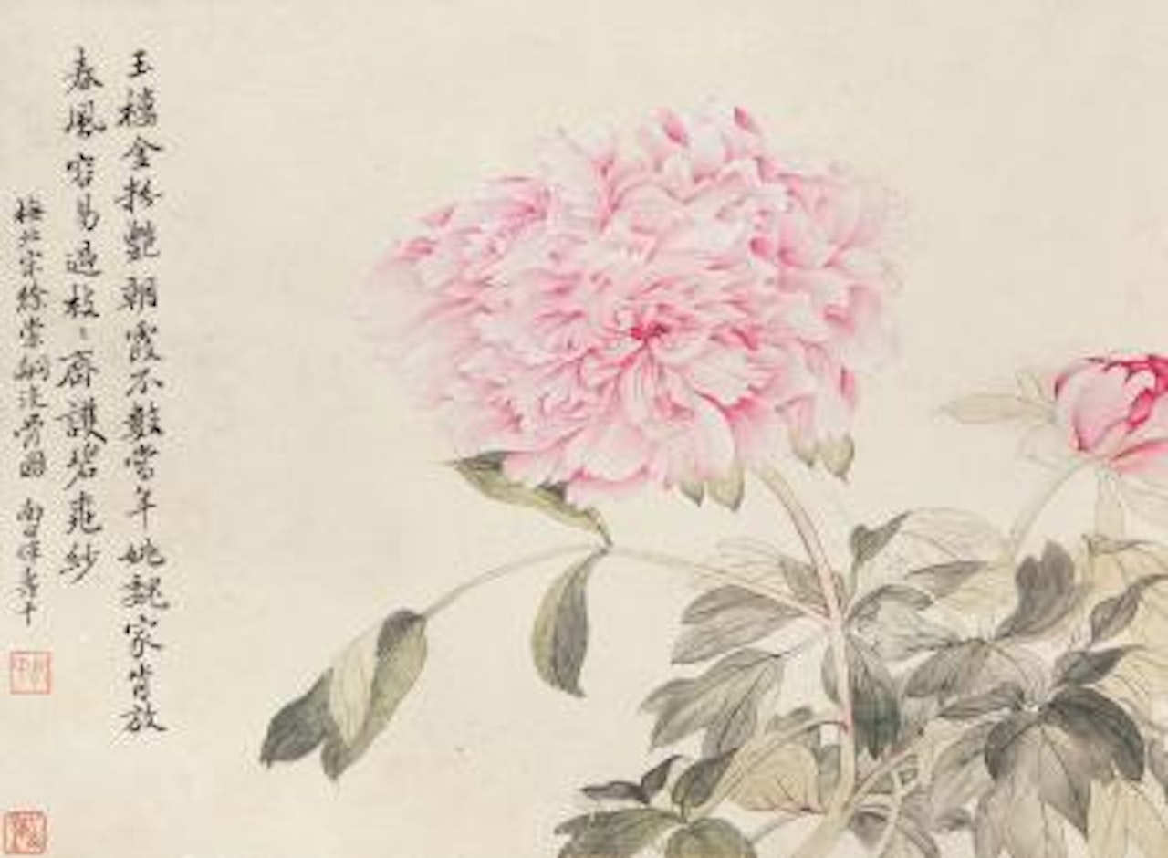 Peony by Yun Shouping