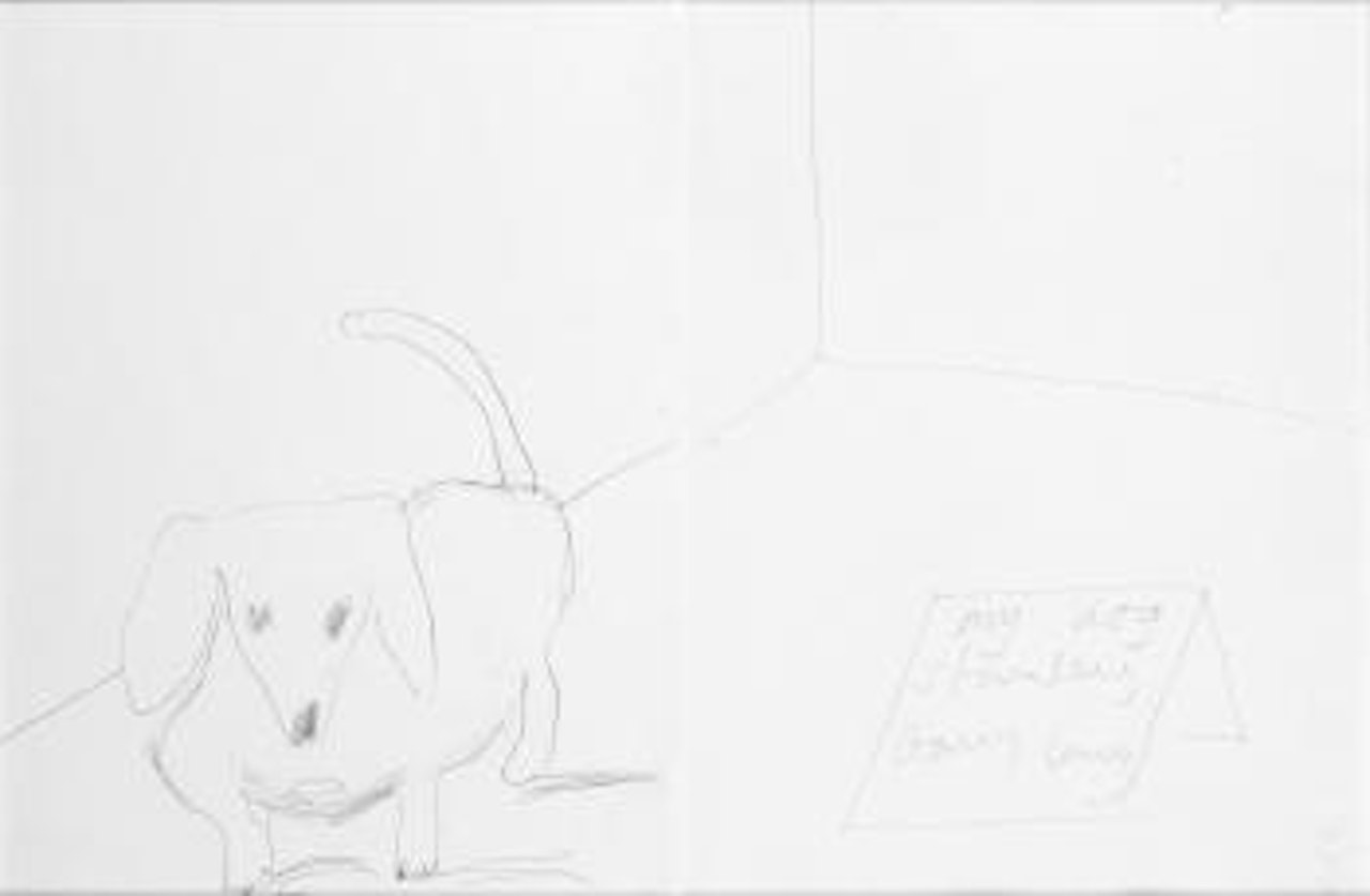 My dog Stanley by David Hockney