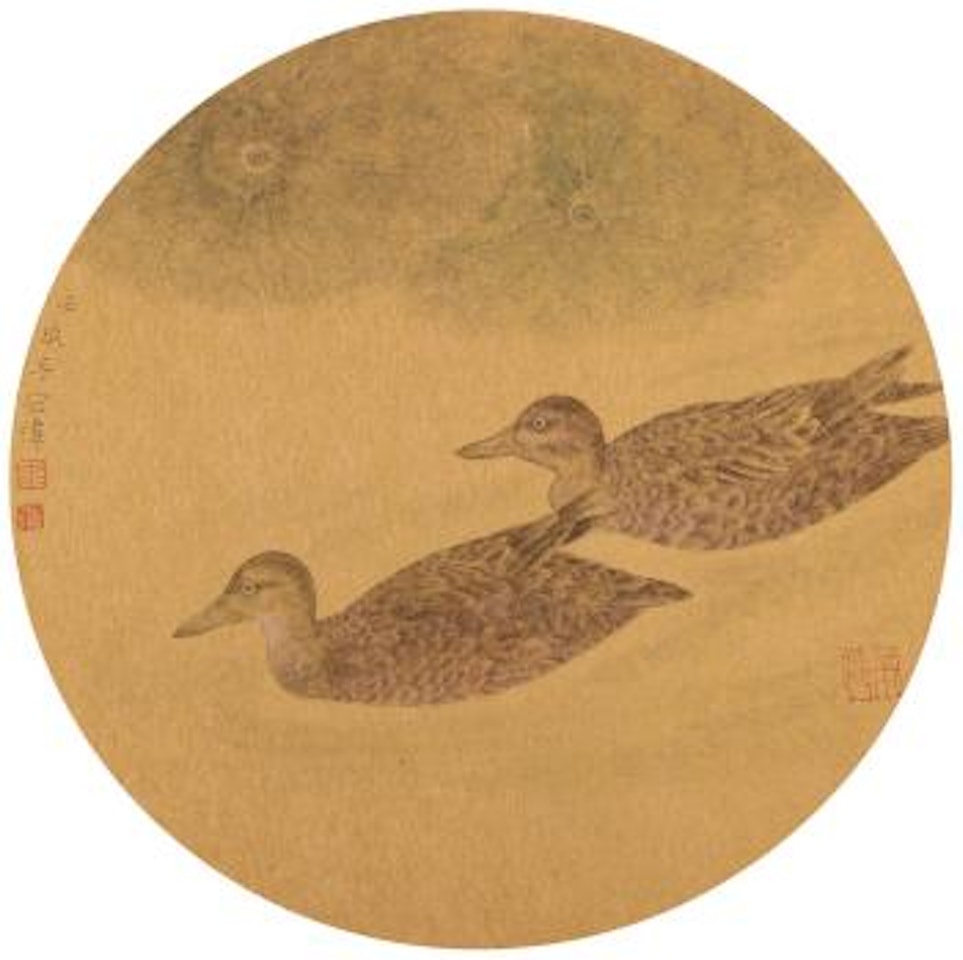 Wild Duck by Jiang Hongwei
