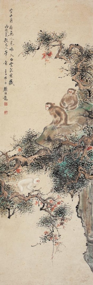 Monkey by Yan Bolong