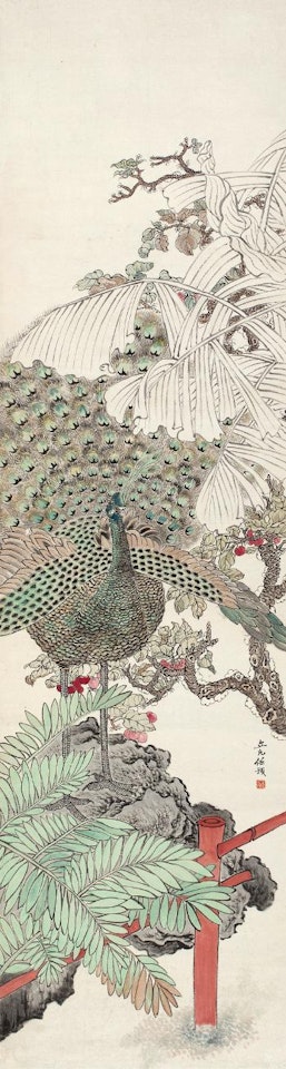 Pheasant by Ren Yu