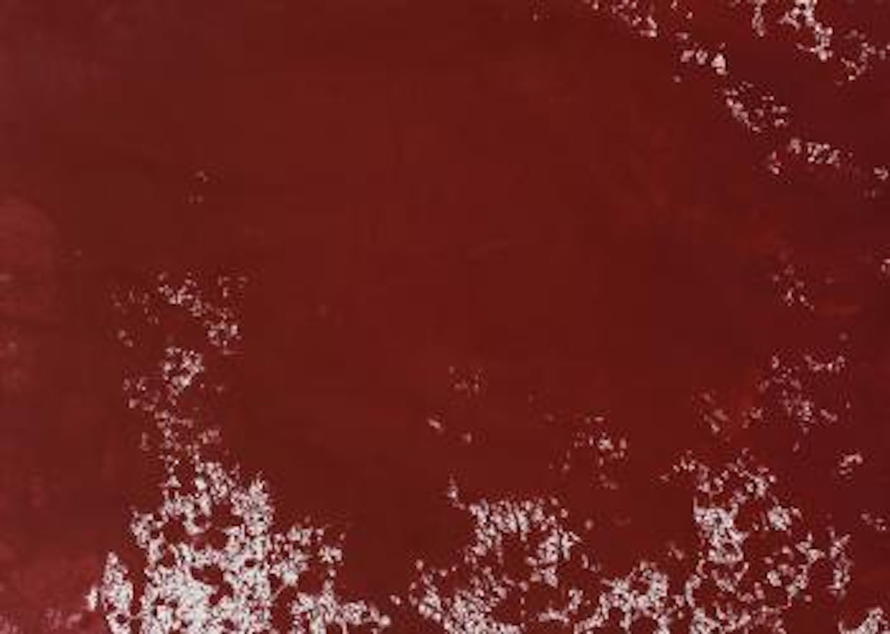Senza titolo by Hermann Nitsch