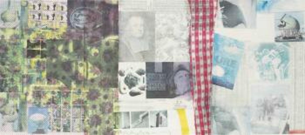 Guest by Robert Rauschenberg