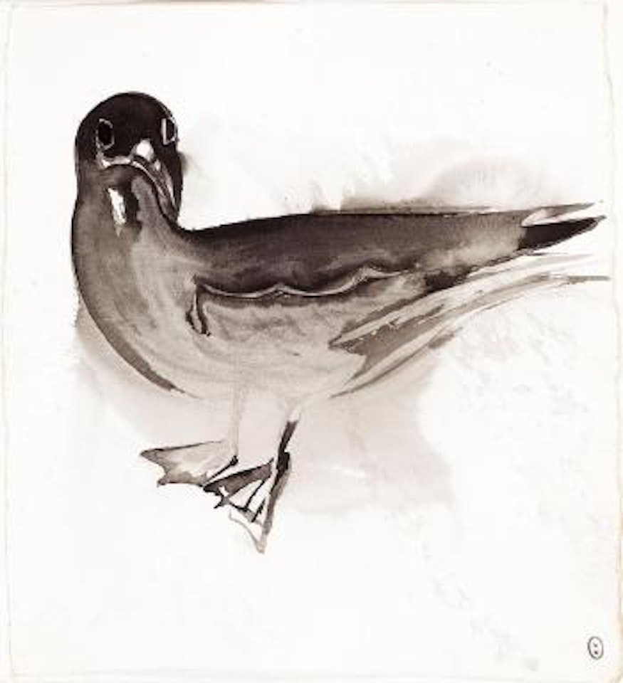 The gull by Brett Whiteley