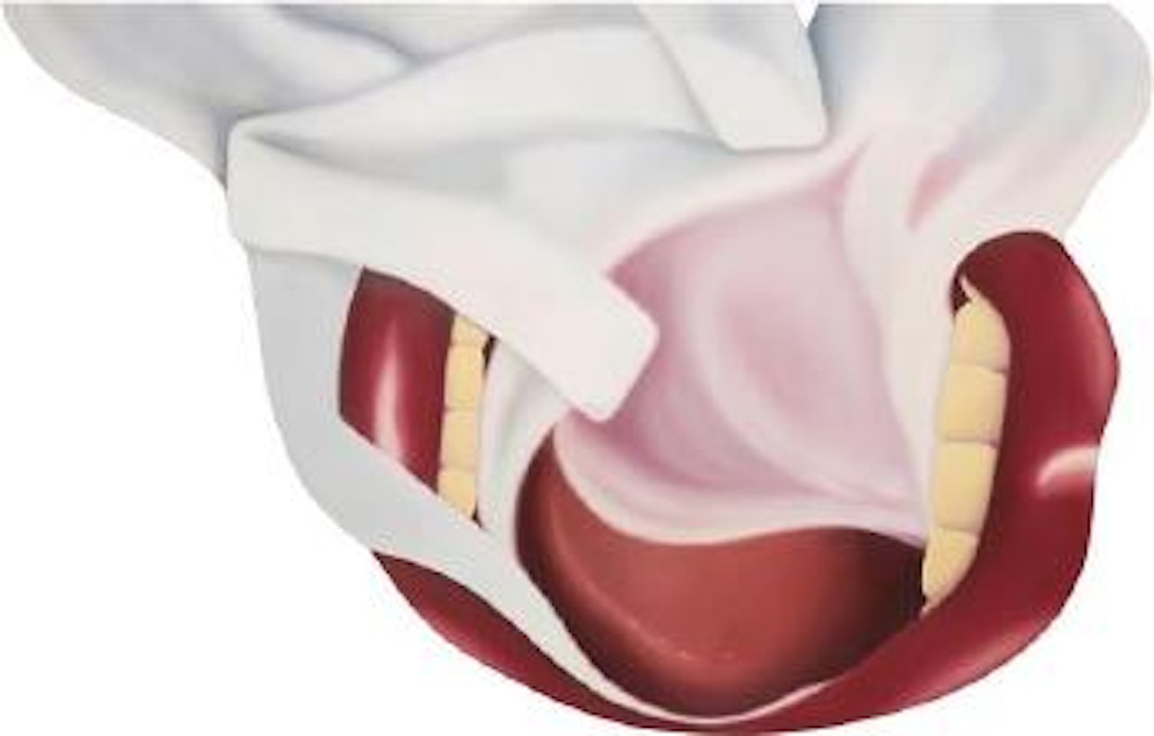 Smoker #15 by Tom Wesselmann