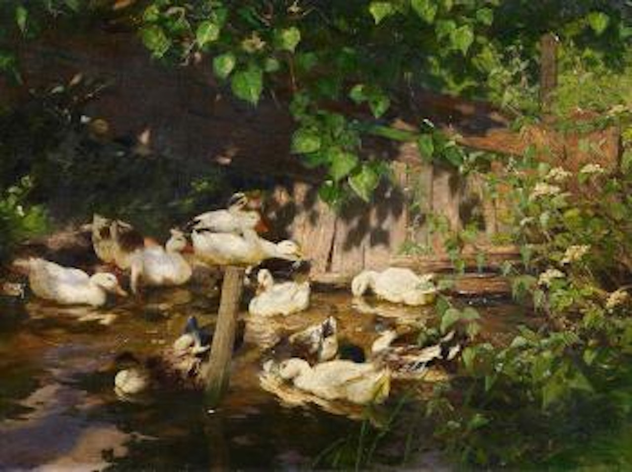 The Duckpond by Alexander Koester