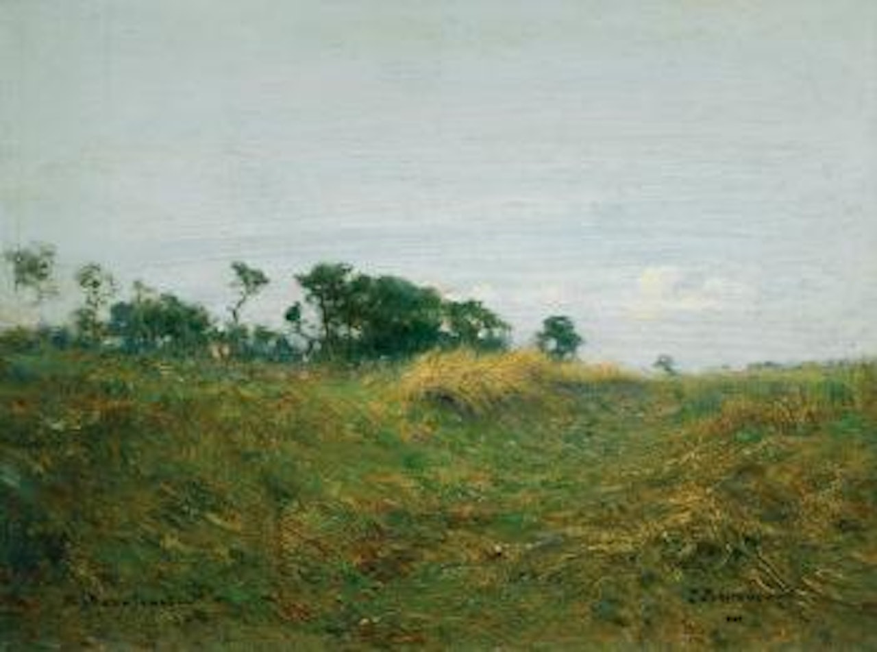 Path Through The Grass by Ivan Pavlovitch Pochitonov