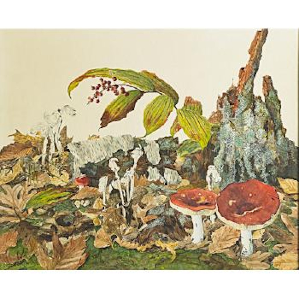 Tree stump, leaves and mushrooms by Bob Kuhn