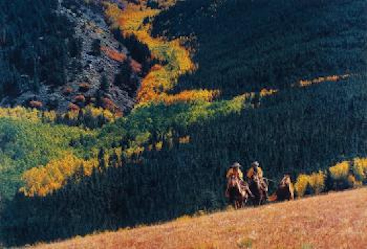 Untitled (Cowboy) by Richard Prince