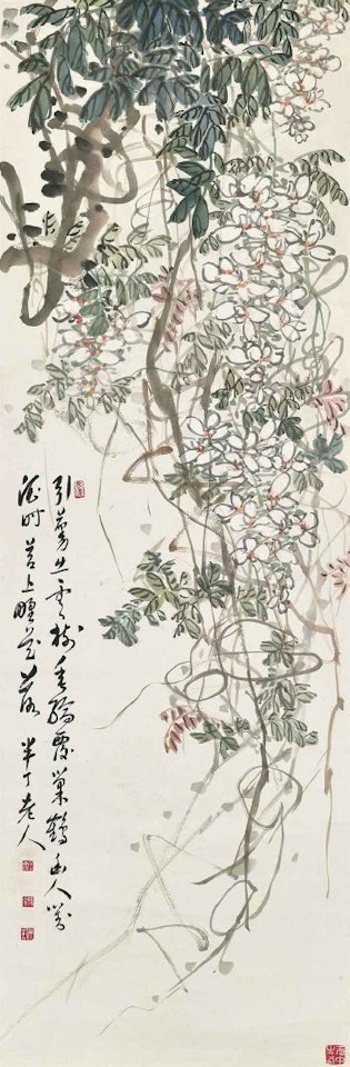 Wisteria by Chen Banding