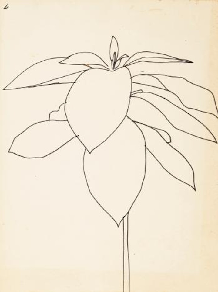 Milkweed by Ellsworth Kelly