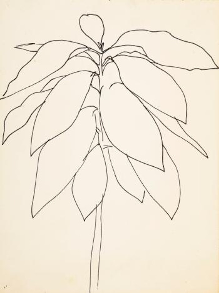 Leaf 4 - Spencertown by Ellsworth Kelly