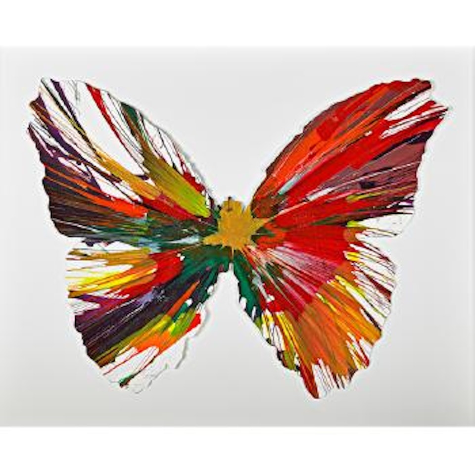 Butterfly spin painting (created at Damien Hirst spin workshop) by Damien Hirst