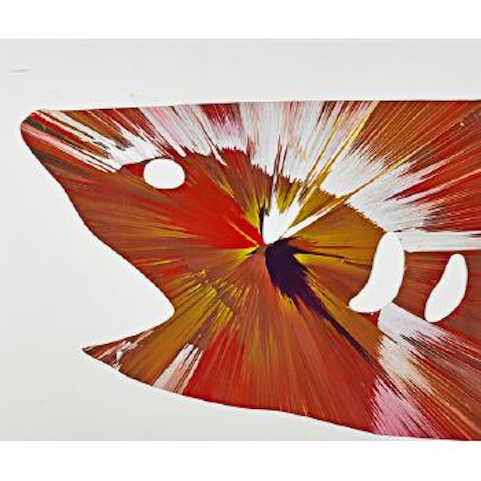 Shark spin painting (created at Damien Hirst spin workshop) by Damien Hirst