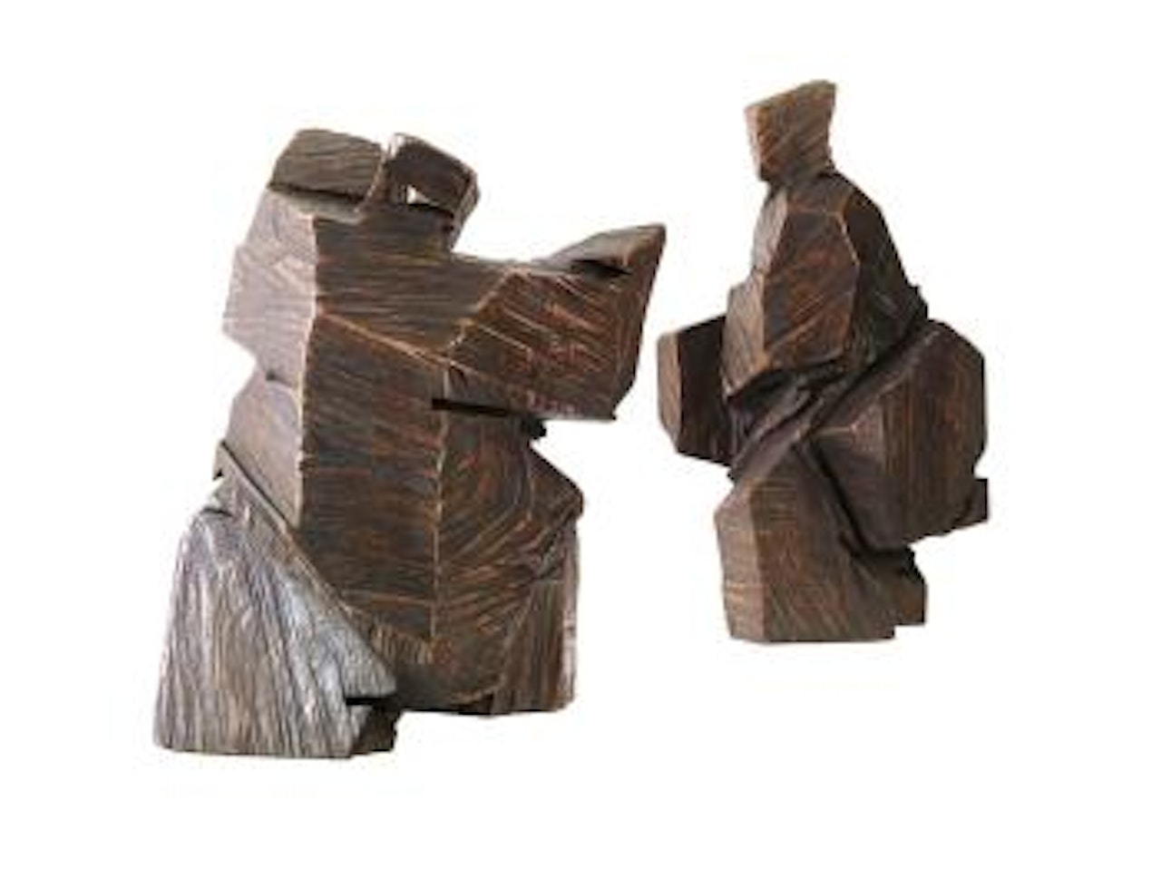 Taichi Series: Shadow Boxing by Ju Ming