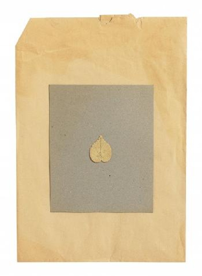 Tilia by Joseph Beuys
