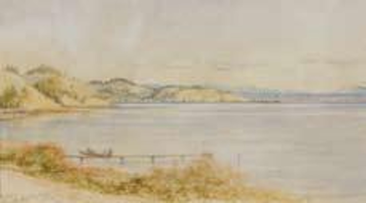Nelson from Wakapuwaka Road by Charles Decimus Barraud