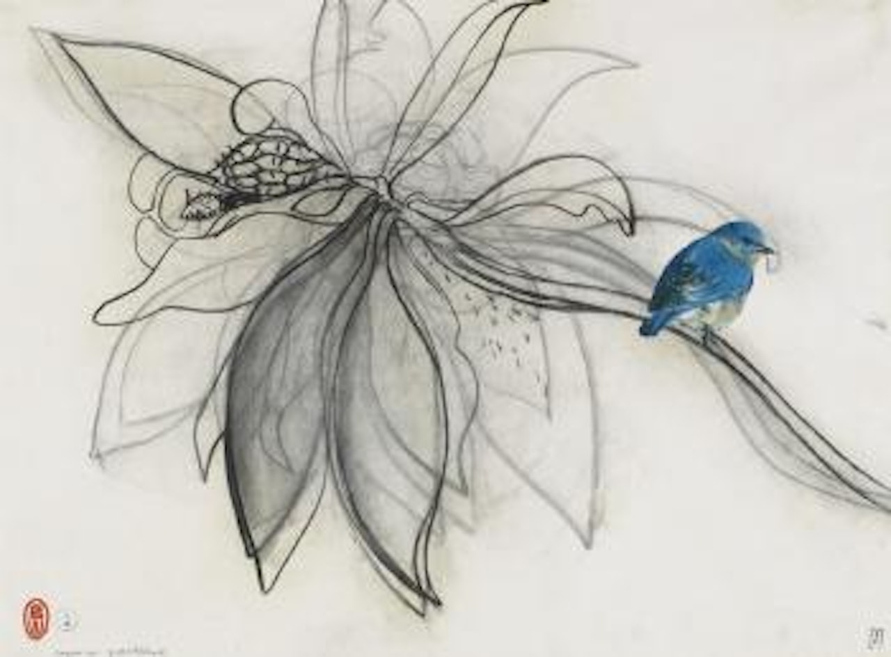 Magnolia and bird by Brett Whiteley
